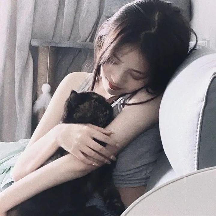 银翼追击